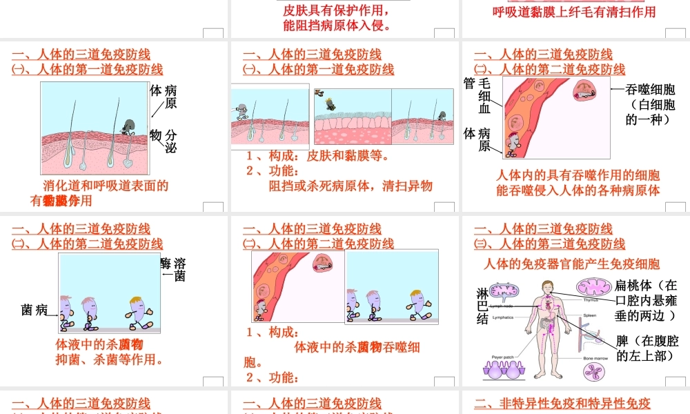 八年级生物下册 第二十五章 第三节 免疫课件3 （新版）苏教版