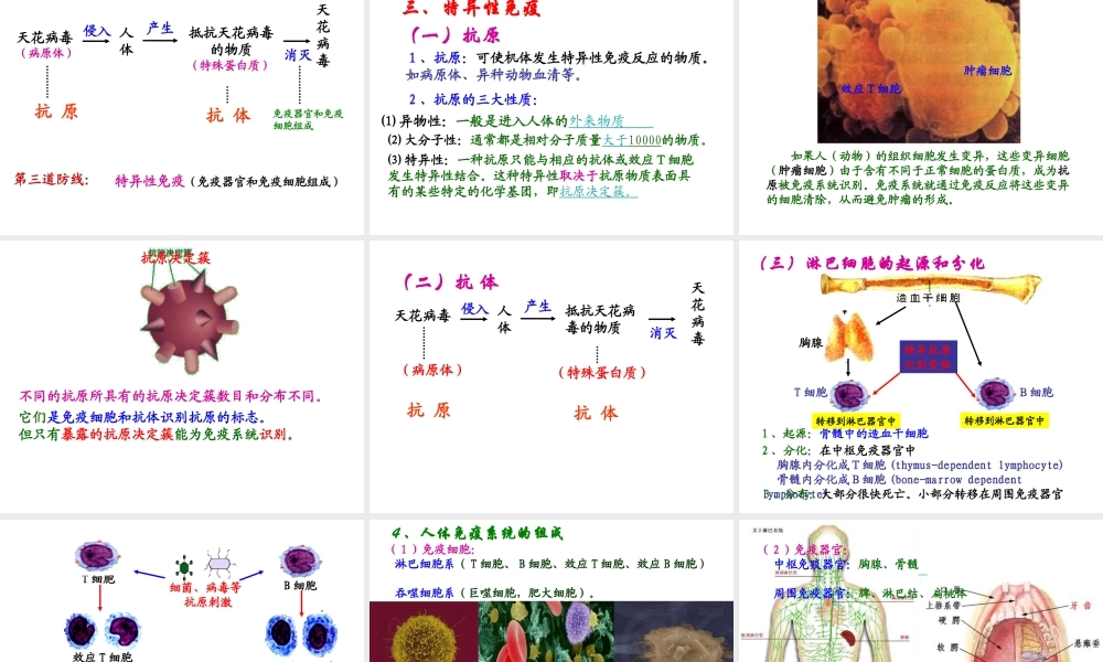 八年级生物下册 第二十五章 第三节 免疫课件4 （新版）苏教版