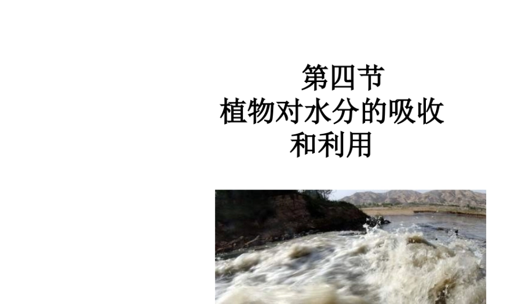 八年级科学上册 第六章 植物的新陈代谢课件 华师大版
