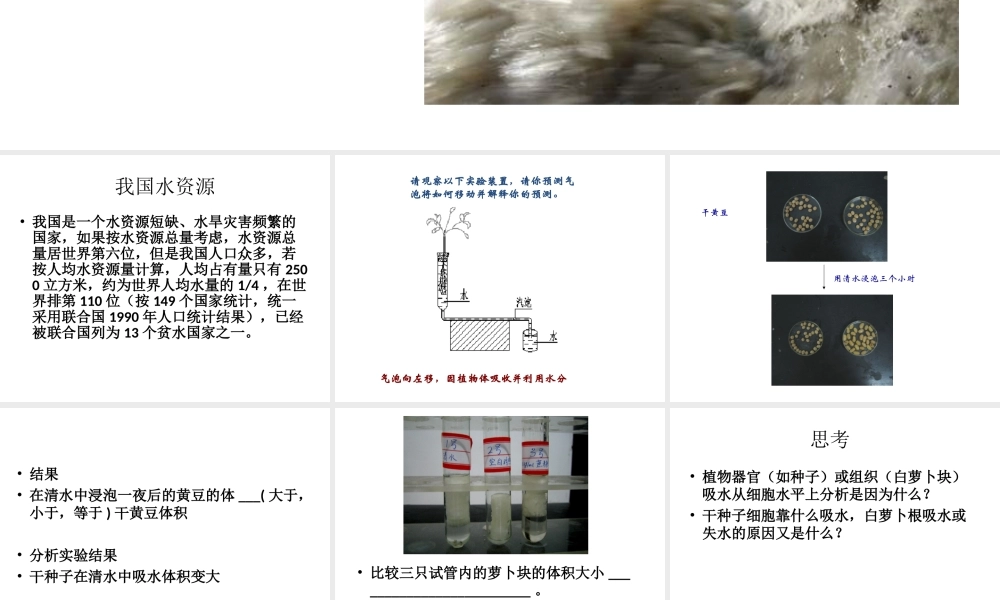 八年级科学上册 第六章 植物的新陈代谢课件 华师大版