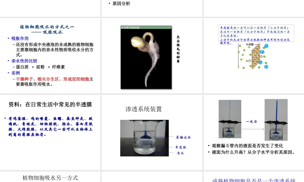 八年级科学上册 第六章 植物的新陈代谢课件 华师大版