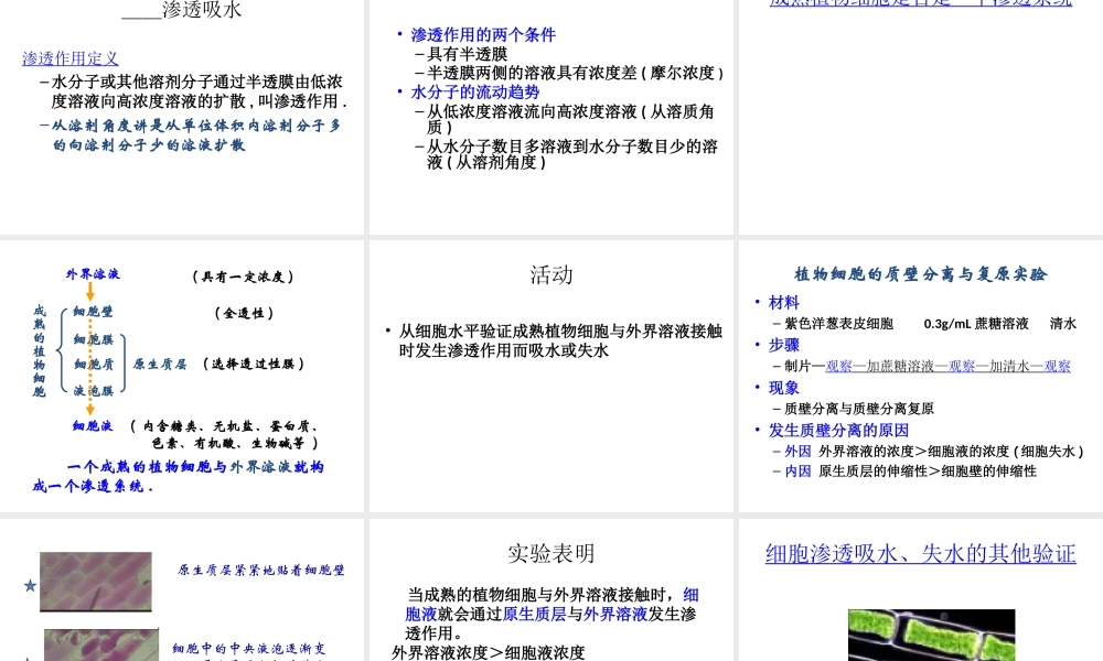 八年级科学上册 第六章 植物的新陈代谢课件 华师大版