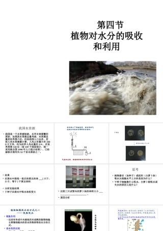 八年级科学上册 第六章 植物的新陈代谢课件 华师大版