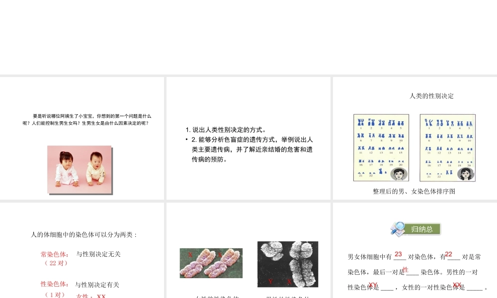 八年级生物下册 第7单元 生命的延续与进化 第22章 第1节《生物的遗传》第3课时课件 （新版）苏科版-（新版）苏科级下册生物课件