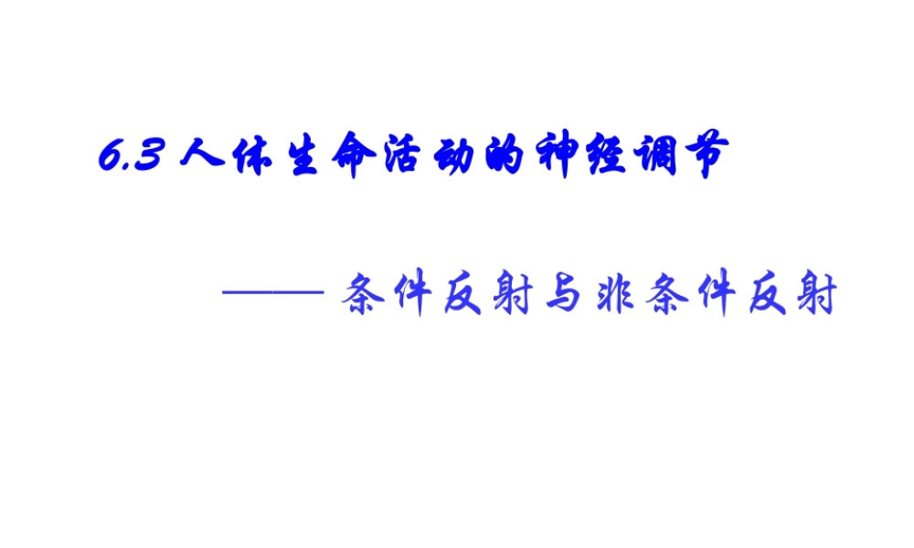八年级科学上册 第六章第三节人体生命活动的神经调节课件 华东师大版
