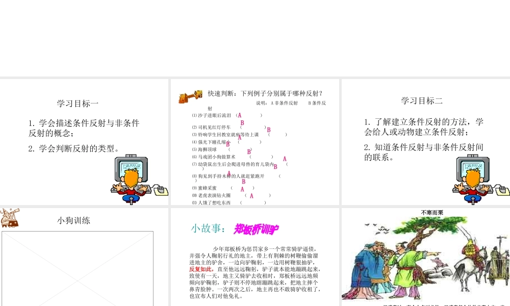 八年级科学上册 第六章第三节人体生命活动的神经调节课件 华东师大版