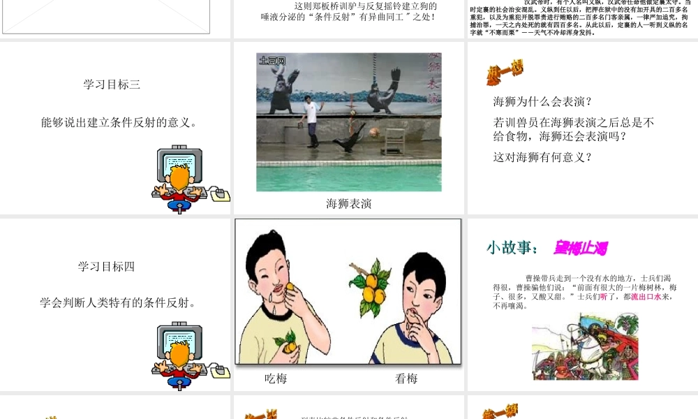 八年级科学上册 第六章第三节人体生命活动的神经调节课件 华东师大版