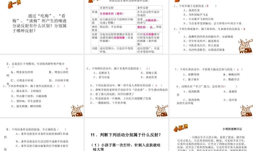 八年级科学上册 第六章第三节人体生命活动的神经调节课件 华东师大版