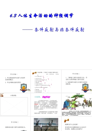 八年级科学上册 第六章第三节人体生命活动的神经调节课件 华东师大版