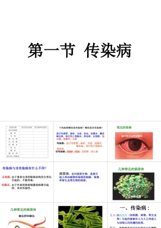 八年级生物下册 第二十五章 第一节 传染病课件2 （新版）苏教版