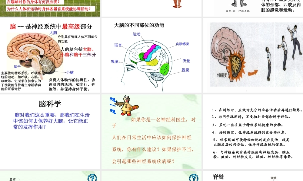 八年级科学上册 第六章第四节人体生命活动的激素调节2课件 华东师大版