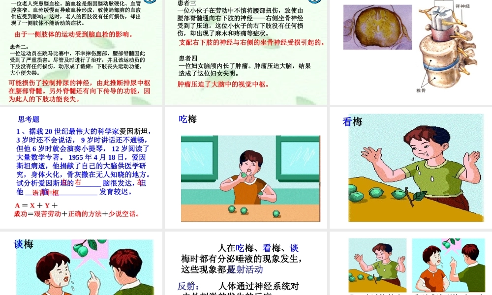 八年级科学上册 第六章第四节人体生命活动的激素调节2课件 华东师大版