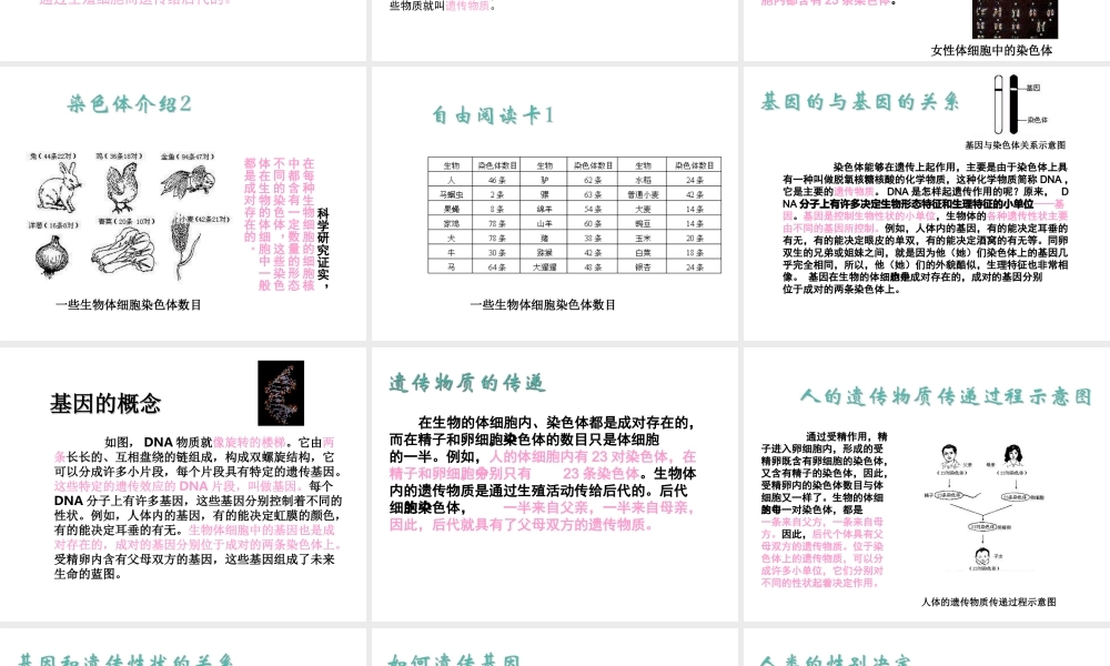 八年级生物下册 第7单元 生命的延续与进化 第22章 第1节《生物的遗传》课件 （新版）苏科版-（新版）苏科版初中八年级下册生物课件