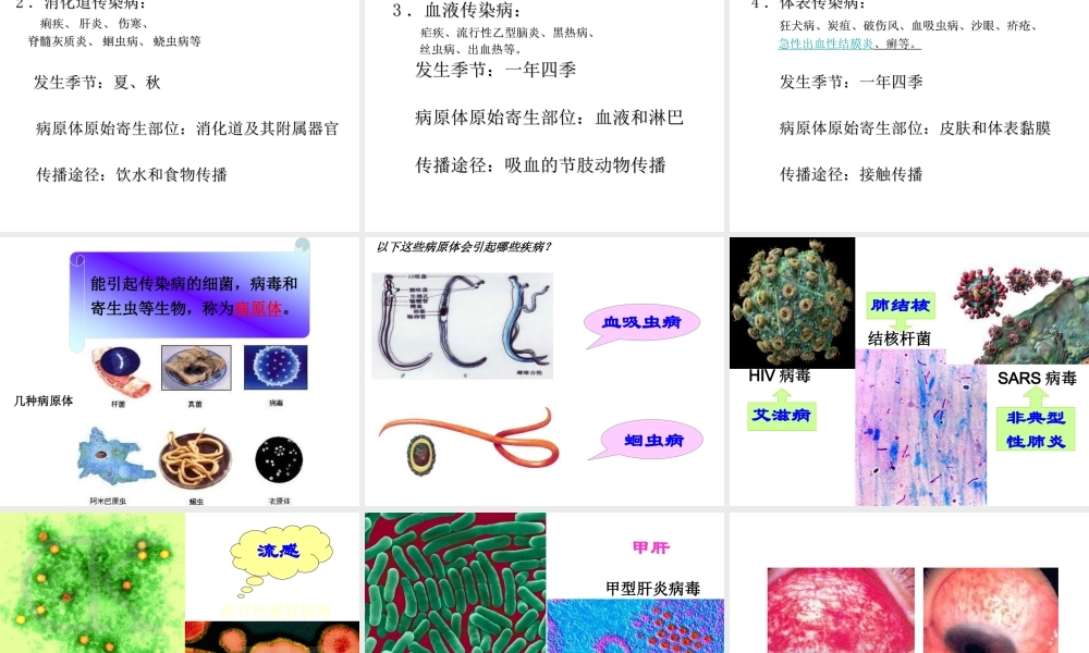 八年级生物下册 第二十五章 第一节 传染病课件4 （新版）苏教版