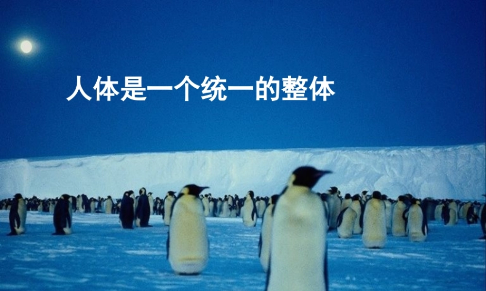 八年级科学上册 第六章第五节人体是一个统一的整体2课件 华东师大版