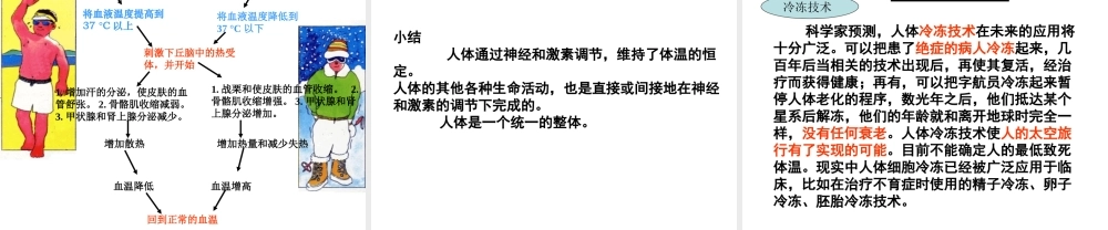 八年级科学上册 第六章第五节人体是一个统一的整体2课件 华东师大版