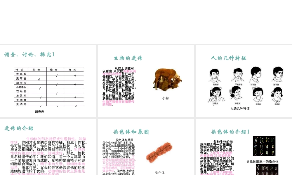 八年级生物下册 第7单元 生命的延续与进化 第22章 第1节《生物的遗传》课件 （新版）苏科版-（新版）苏科级下册生物课件