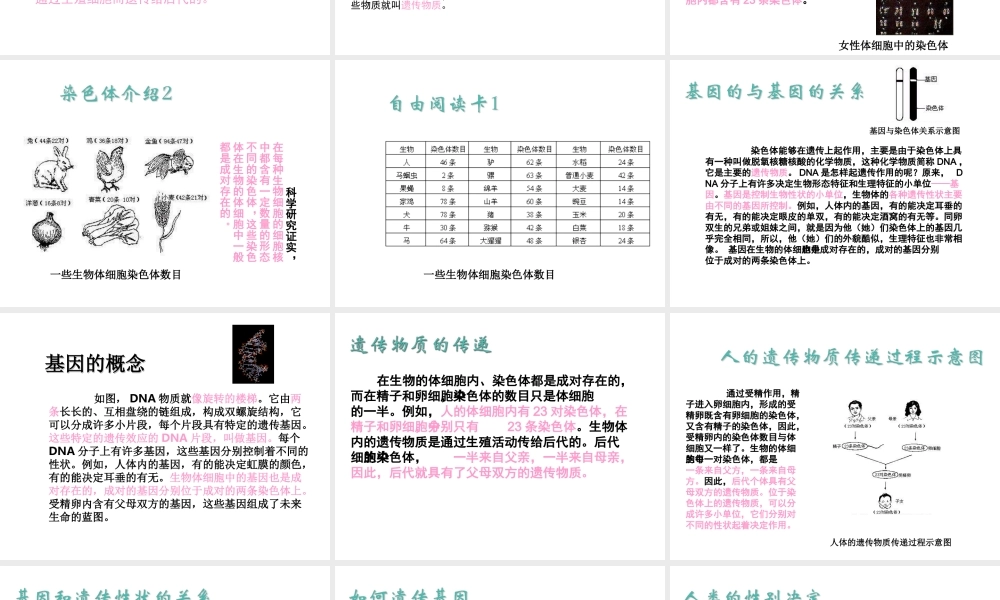 八年级生物下册 第7单元 生命的延续与进化 第22章 第1节《生物的遗传》课件 （新版）苏科版-（新版）苏科级下册生物课件