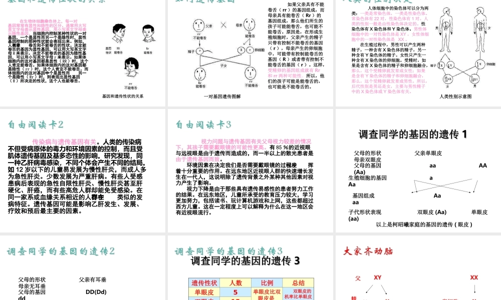 八年级生物下册 第7单元 生命的延续与进化 第22章 第1节《生物的遗传》课件 （新版）苏科版-（新版）苏科级下册生物课件