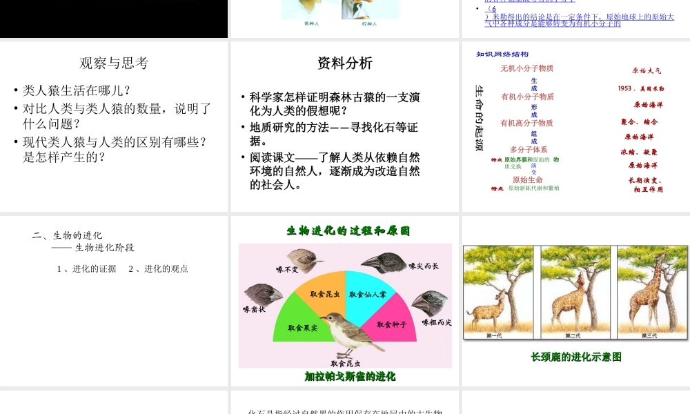 八年级生物下册 第24章《生命起源和生物进化》课件 苏教版