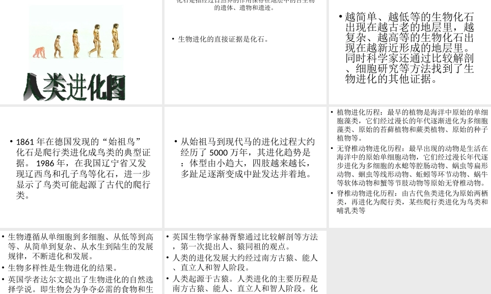 八年级生物下册 第24章《生命起源和生物进化》课件 苏教版