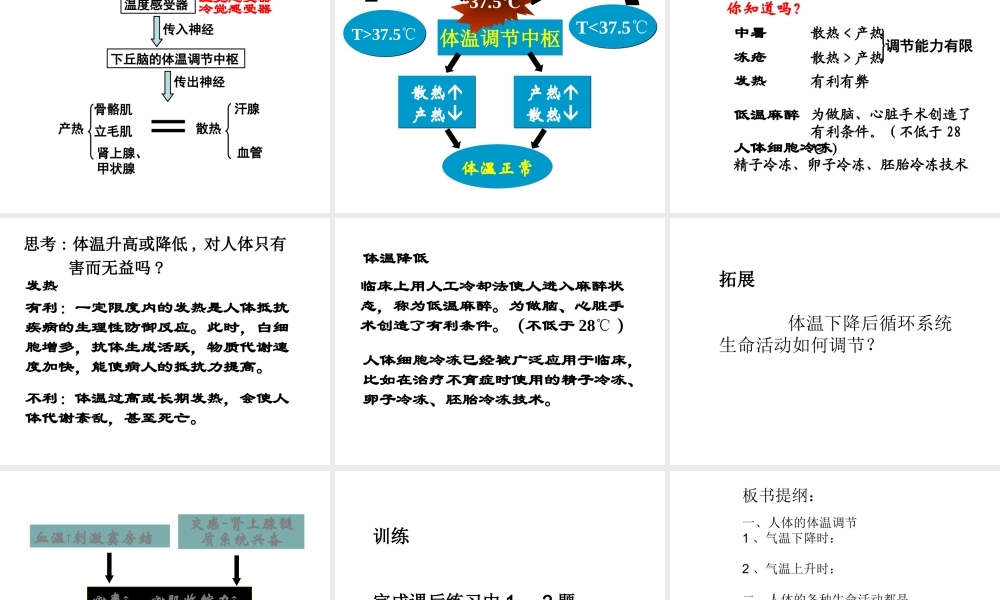 八年级科学上册 第六章第五节人体是一个统一的整体课件 华东师大版