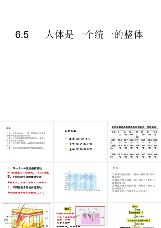 八年级科学上册 第六章第五节人体是一个统一的整体课件 华东师大版