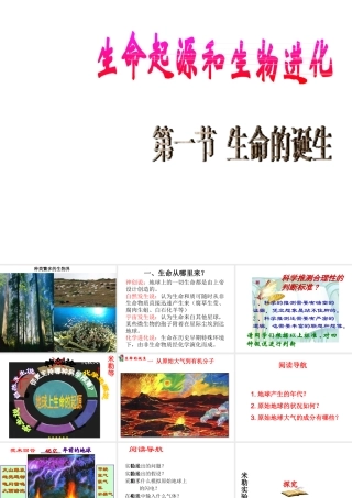 八年级生物下册 第24章第1节《生命的诞生》课件 苏教版