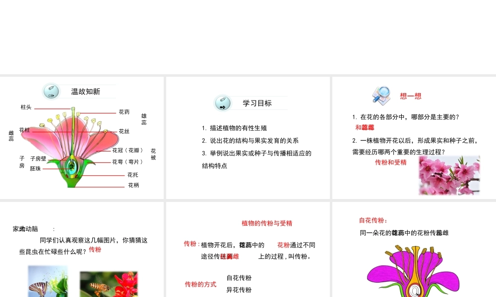 八年级生物下册 第二十一章 第2节《植物的有性生殖》课件 （新版）苏教版