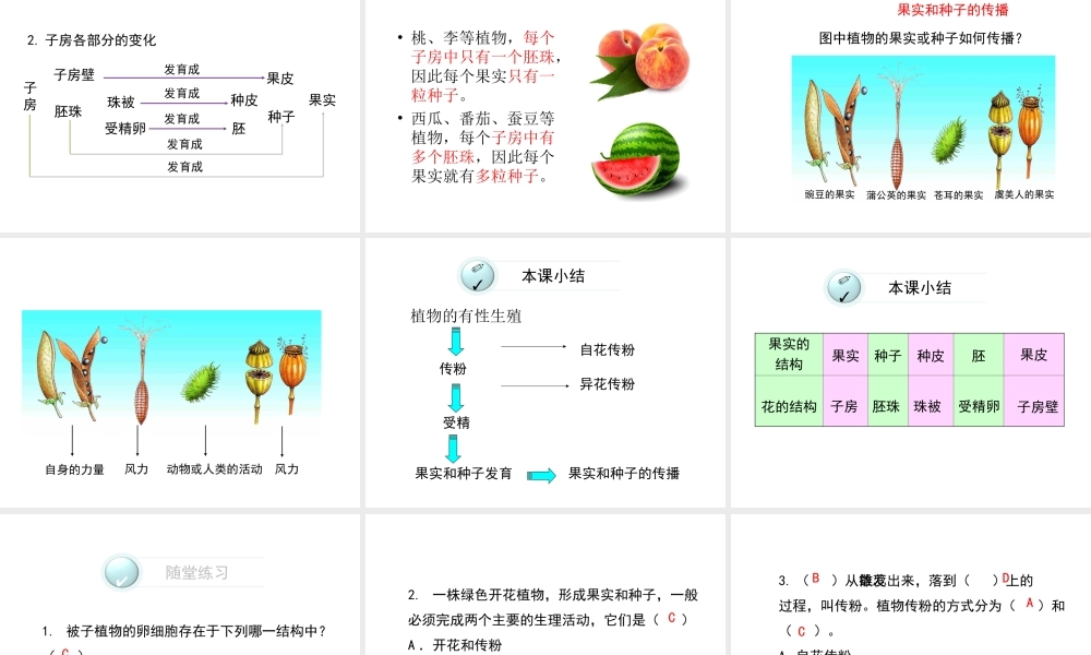 八年级生物下册 第二十一章 第2节《植物的有性生殖》课件 （新版）苏教版