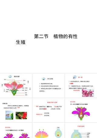 八年级生物下册 第二十一章 第2节《植物的有性生殖》课件 （新版）苏教版
