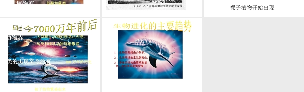 八年级生物下册 第24章第2节《生物进化的历程》课件 苏教版