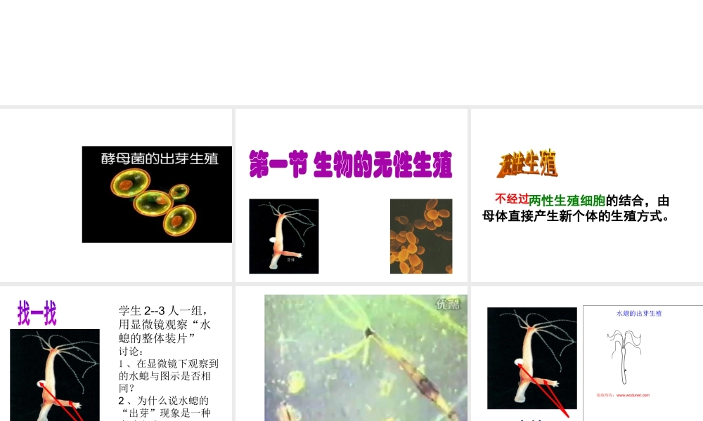 八年级生物下册 第二十一章 第一节 生物的无性生殖课件 苏教版-苏教版初中八年级下册生物课件