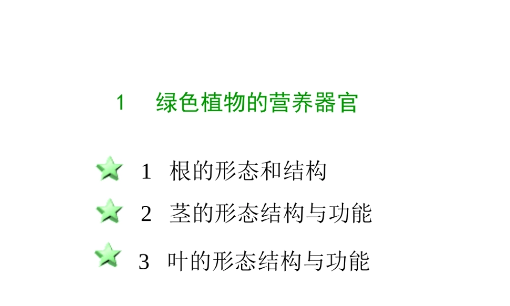 八年级科学上册 第六章第一节绿色植物的营养器官课件 华东师大版