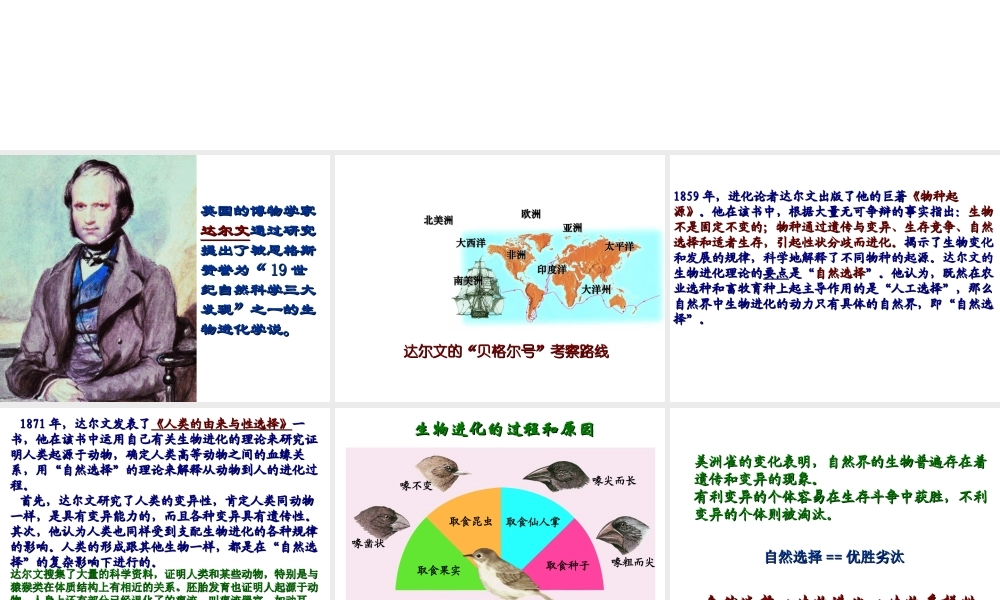 八年级生物下册 第24章第3节《生物进化的学说》课件 苏教版