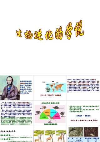 八年级生物下册 第24章第3节《生物进化的学说》课件 苏教版