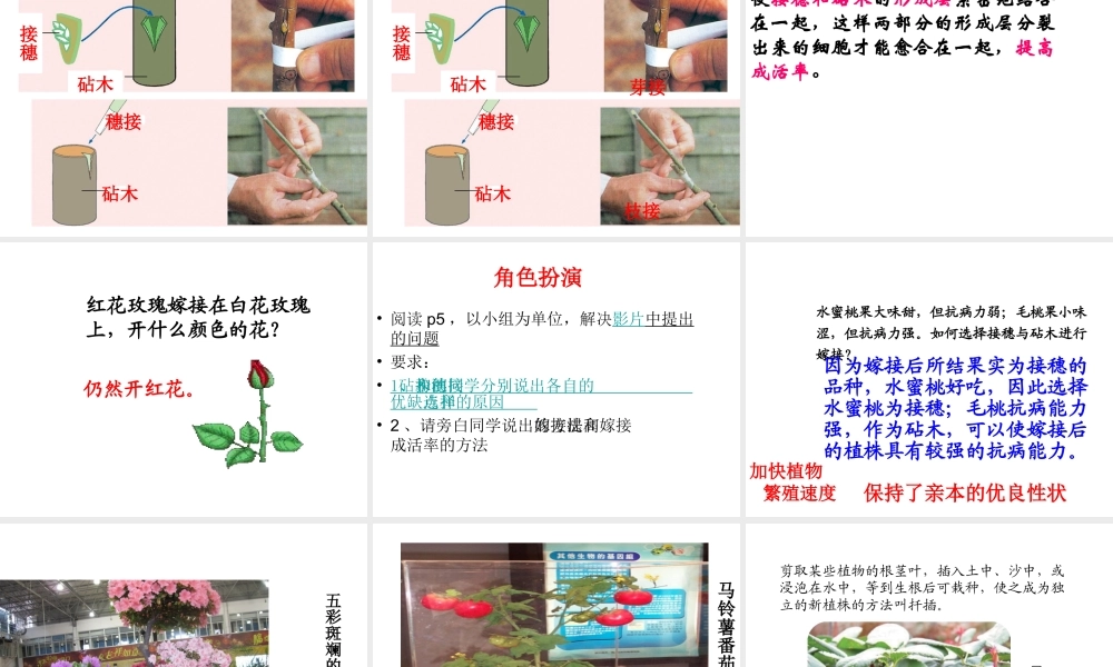 八年级生物下册 第二十一章 第一节 生物的无性生殖课件 苏教版-苏教级下册生物课件