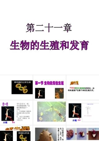 八年级生物下册 第二十一章 第一节 生物的无性生殖课件 苏教版-苏教级下册生物课件