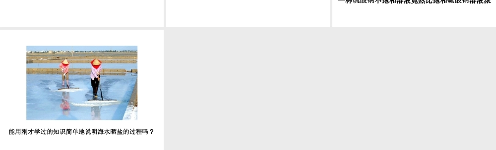 八年级科学上册 第七节物质在水中的溶解（一）课件 浙教版