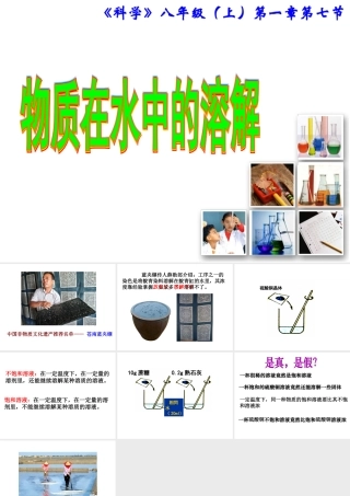 八年级科学上册 第七节物质在水中的溶解（一）课件 浙教版