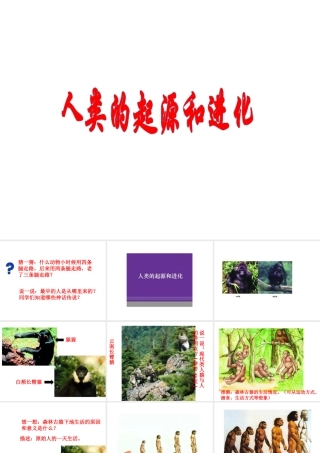 八年级生物下册 第24章第4节《人类的起源和进化》课件 苏教版