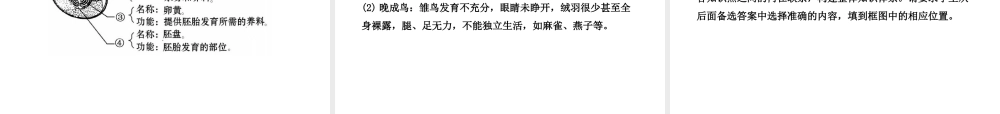 八年级生物下册 第二十一章 生物的生殖与发育课件 （新版）苏教版