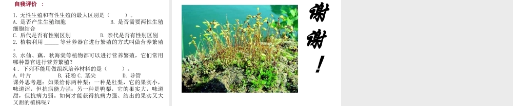 八年级科学上册 第七章第二节 植物的无性生殖课件 华东师大版