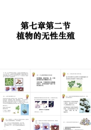 八年级科学上册 第七章第二节 植物的无性生殖课件 华东师大版
