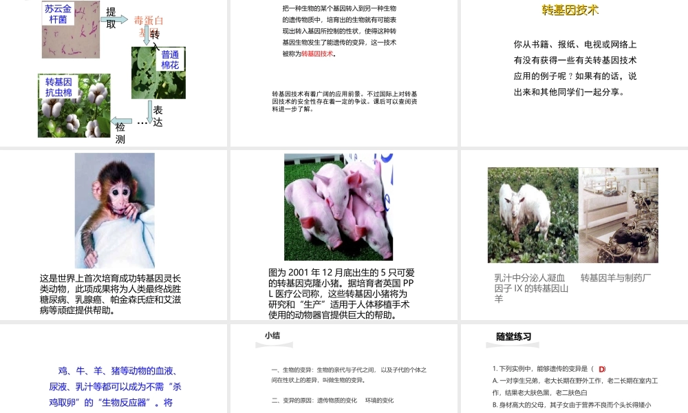 八年级生物下册 第7单元 生命的延续与进化 第22章 第2节《生物的变异》课件2 （新版）苏科版-（新版）苏科级下册生物课件