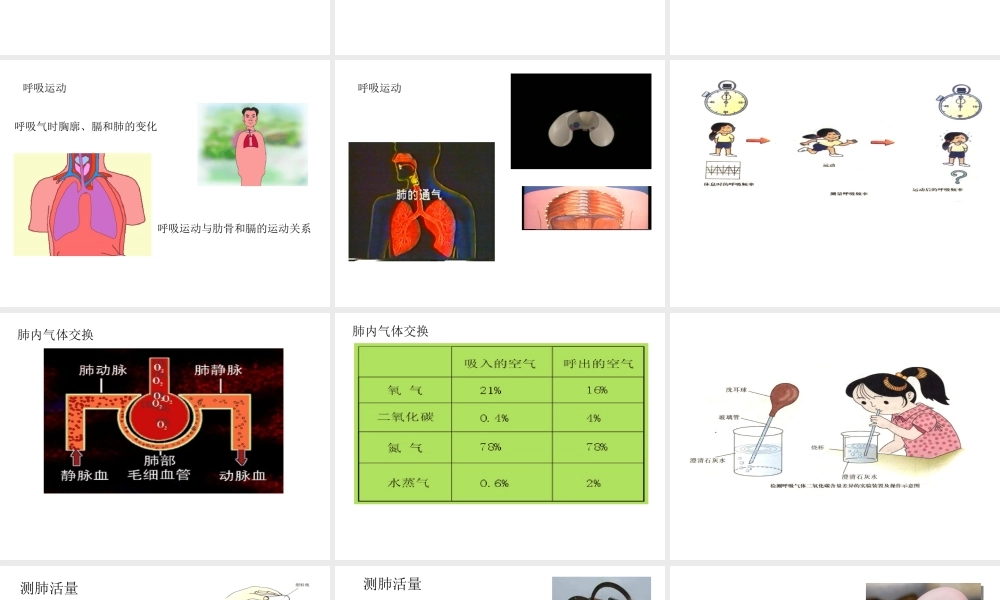 八年级科学上册 第七章第二节人体的呼吸课件 华东师大版