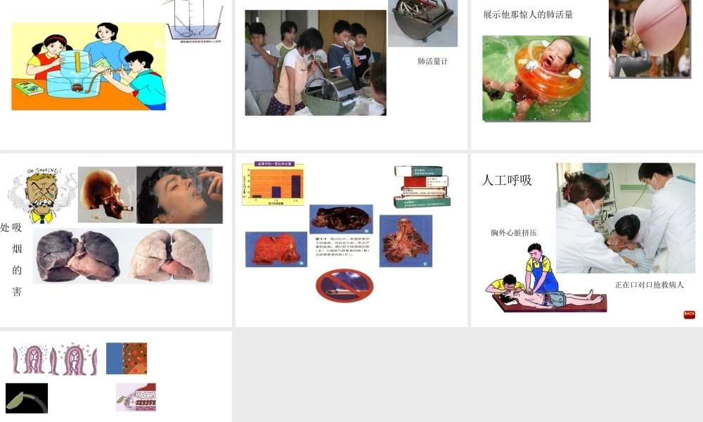 八年级科学上册 第七章第二节人体的呼吸课件 华东师大版