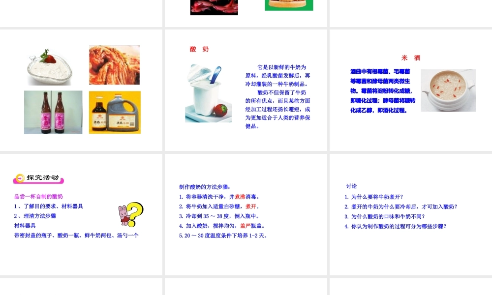 八年级生物下册 第25章 第1节 发酵技术课件 北师大版