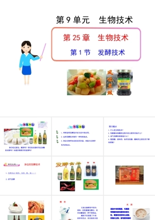 八年级生物下册 第25章 第1节 发酵技术课件 北师大版