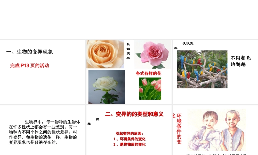 八年级生物下册 第7单元 生命的延续与进化 第22章 第2节《生物的变异》课件3 （新版）苏科版-（新版）苏科版初中八年级下册生物课件